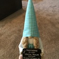 Mothers Day Gnome3.JPG